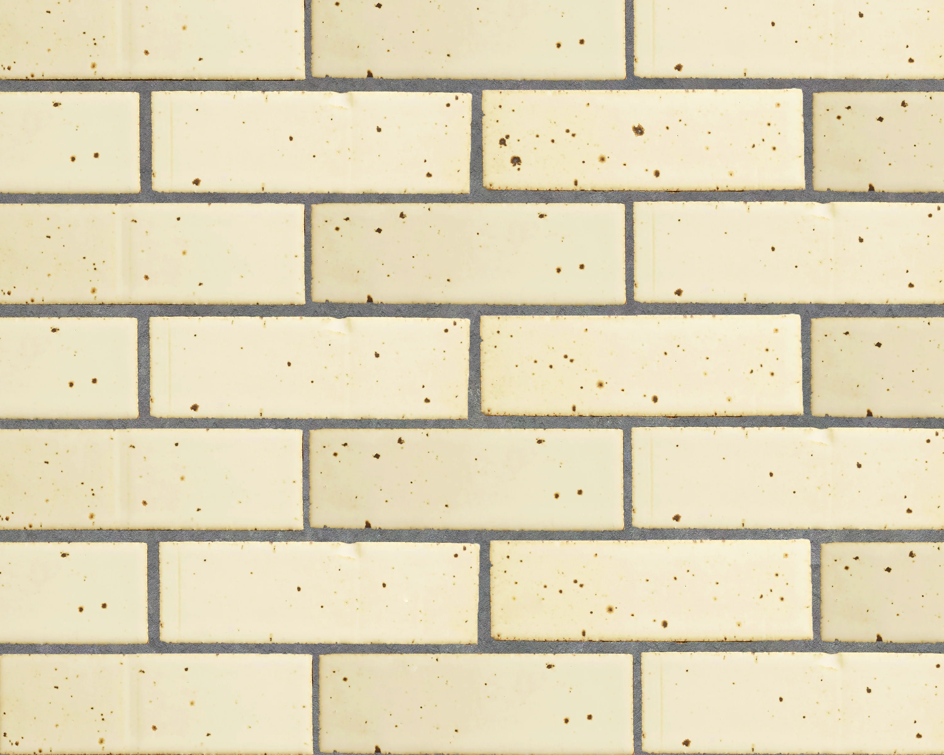 clé guild | new california | yarrow ~ 2½"x8"x½" - Image 3